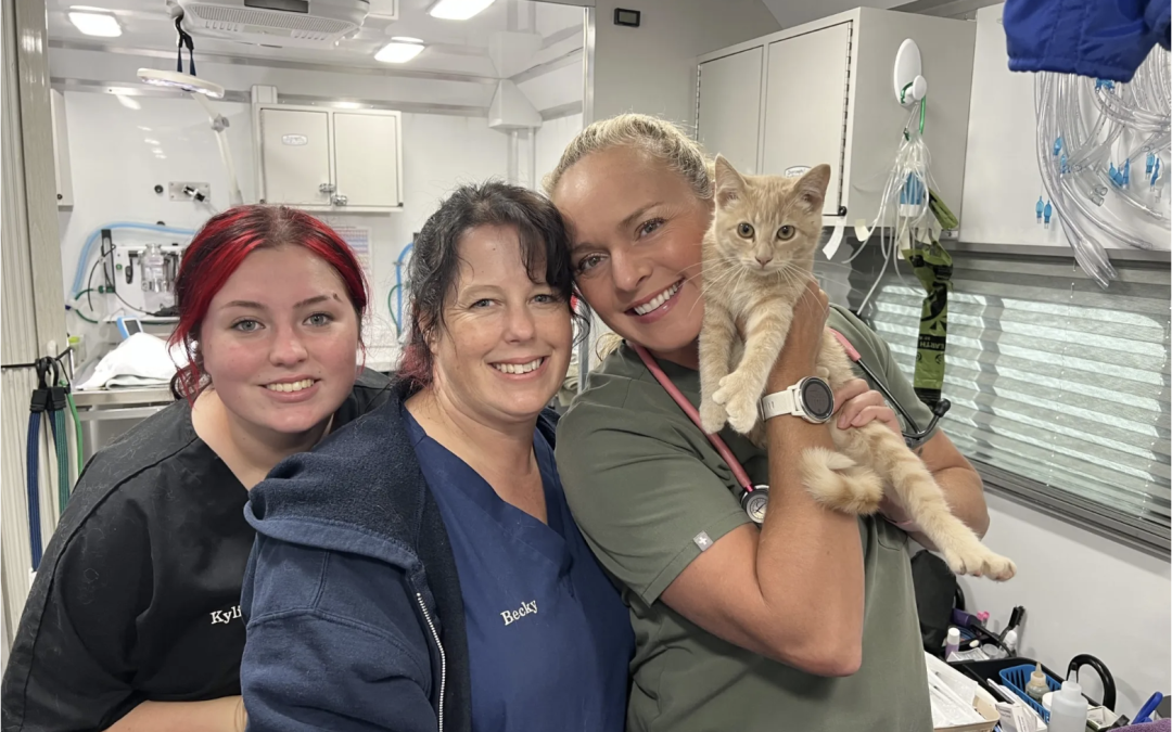 Wagging tails and open hearts: C.A.R.E.4Paws on a mission to support pet wellness